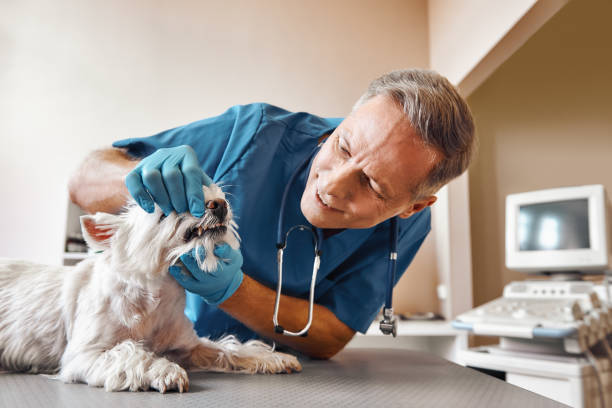 Best Emergency Dentist for Special Needs Patients in Carrollton, GA